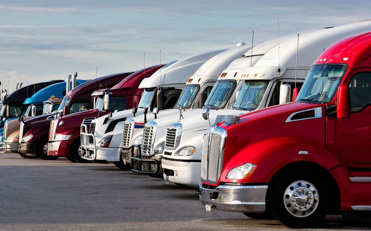 Logistics planning and financial analysis